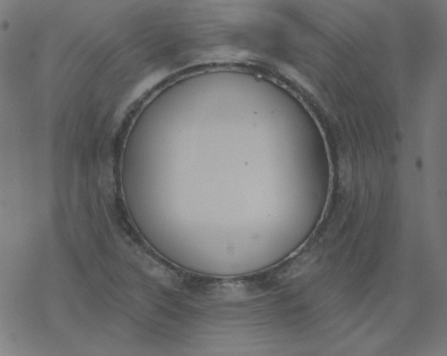 X0000077371315200611031901