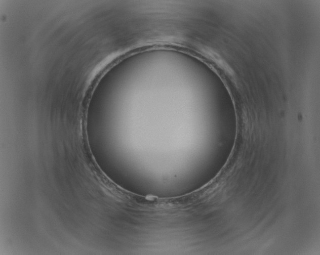 X0000077371316200611031901