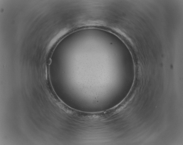 X0000077371317200611031901