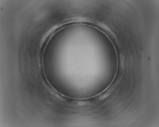 X0000077371318200611031901