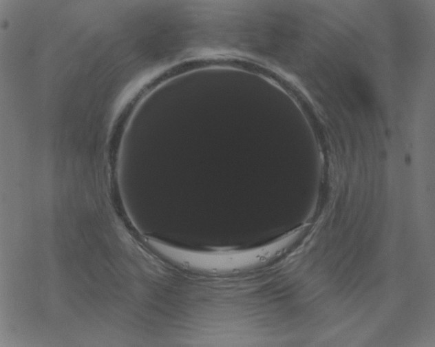 X0000077371319200611031901