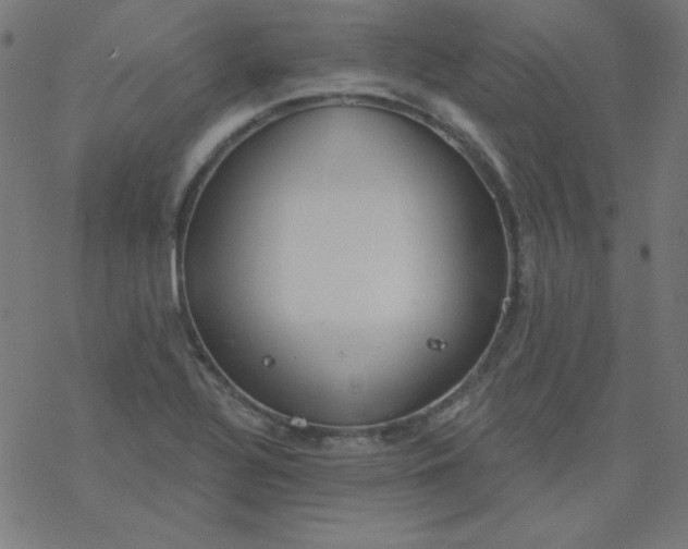 X0000077371320200611031901