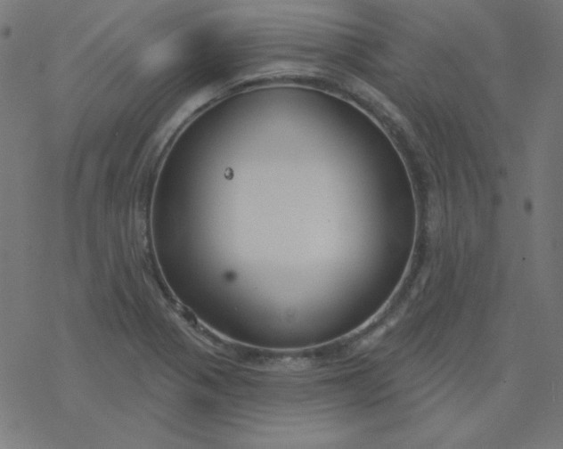 X0000077371321200611031901