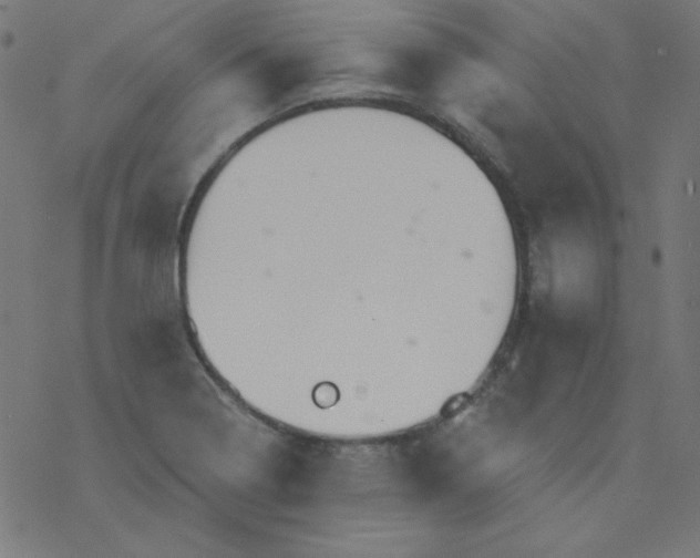 X0000077371322200611031901