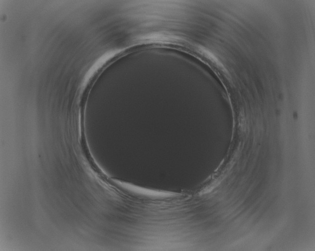 X0000077371323200611031901