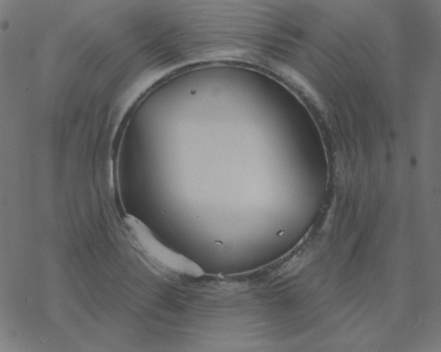 X0000077371324200611031901