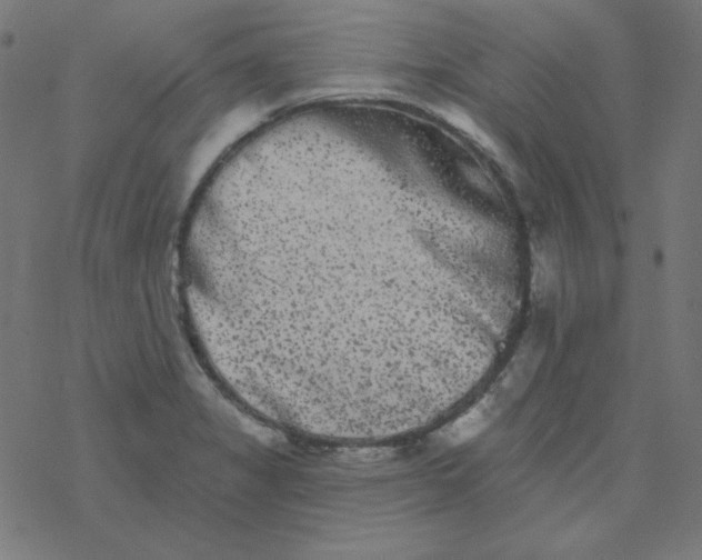 X0000077371325200611031901