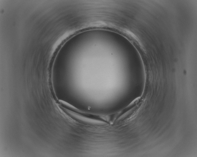 X0000077371326200611031901