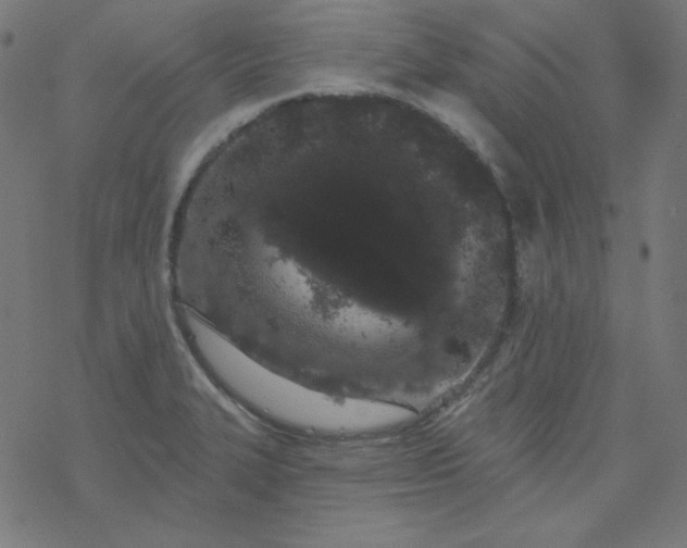 X0000077371327200611031901