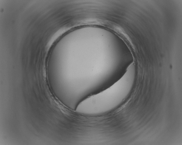 X0000077371328200611031901