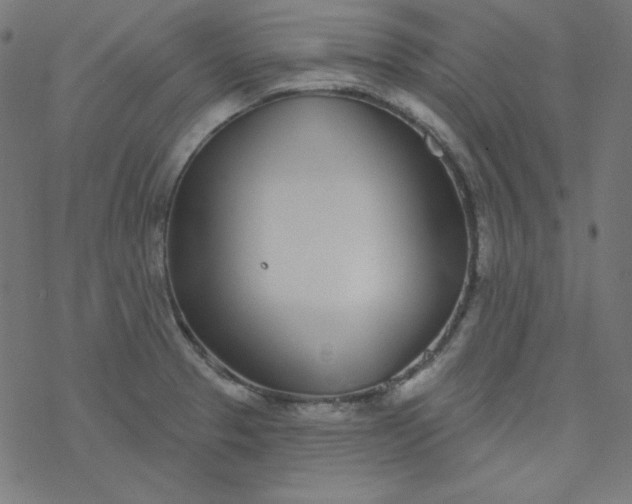 X0000077371329200611031901