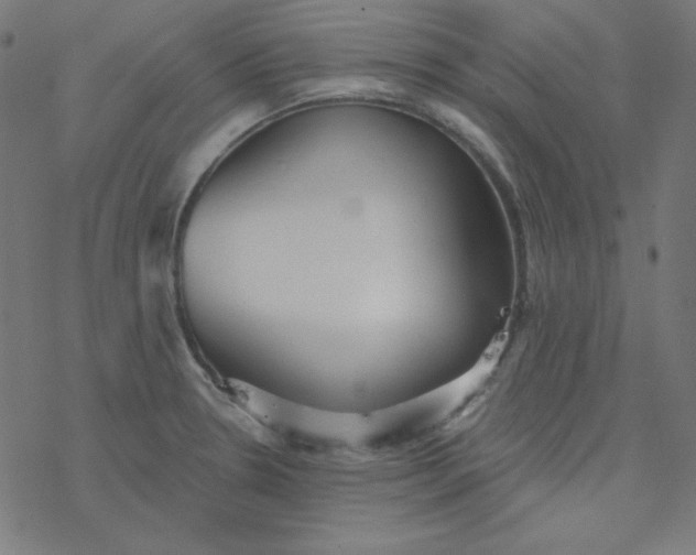 X0000077371330200611031901