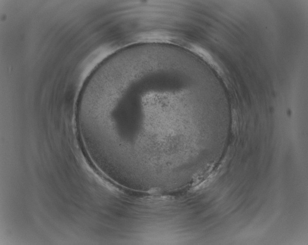 X0000077371331200611031901