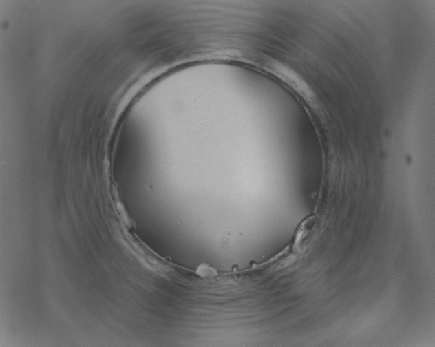 X0000077371332200611031901