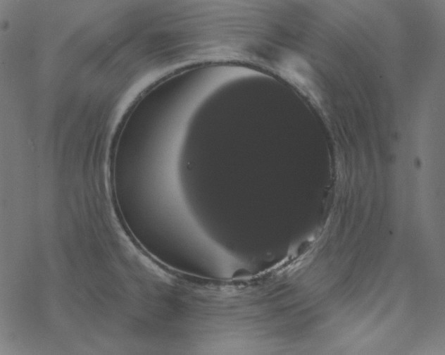 X0000077371334200611031901