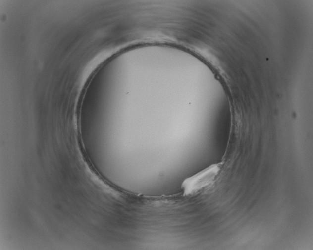 X0000077371335200611031901