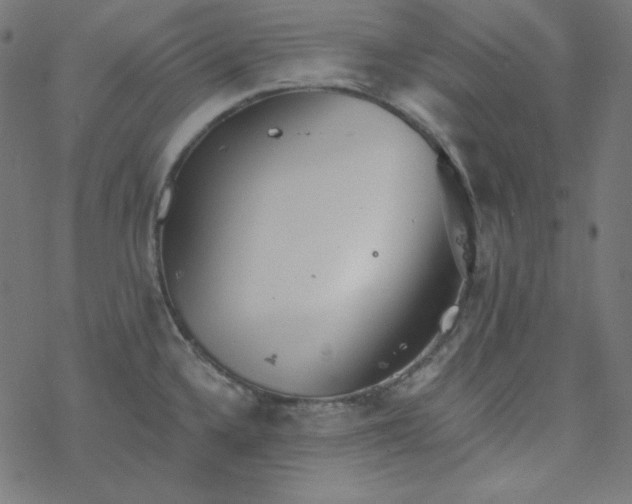 X0000077371336200611031901