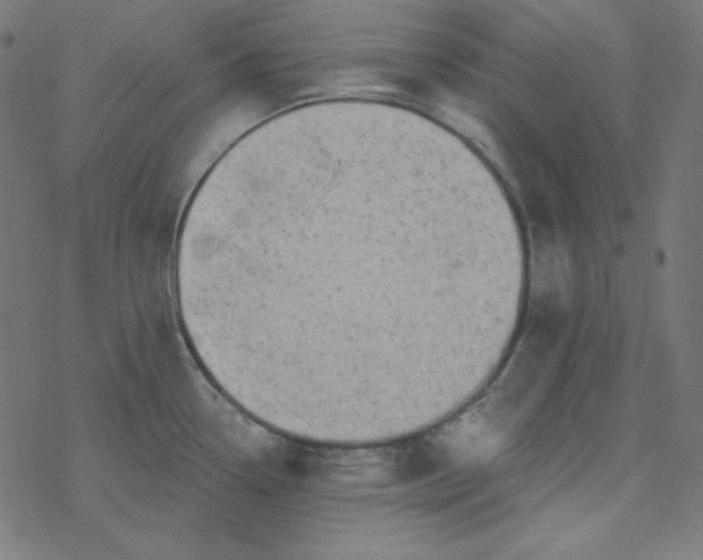 X0000077371338200611031902