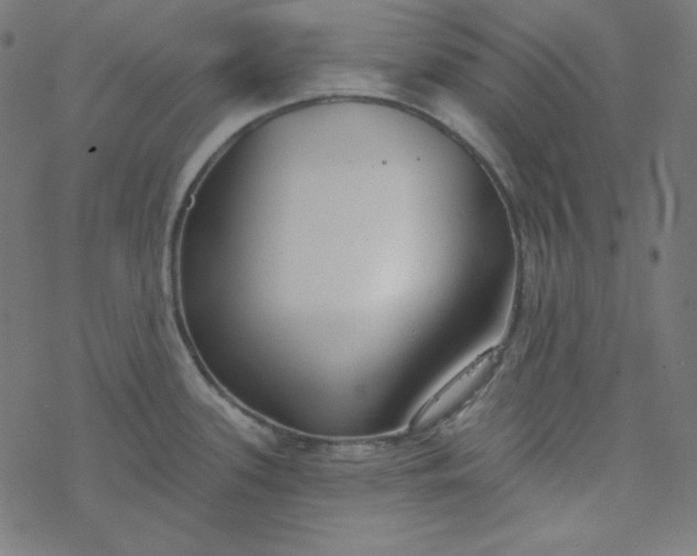 X0000077371339200611031902