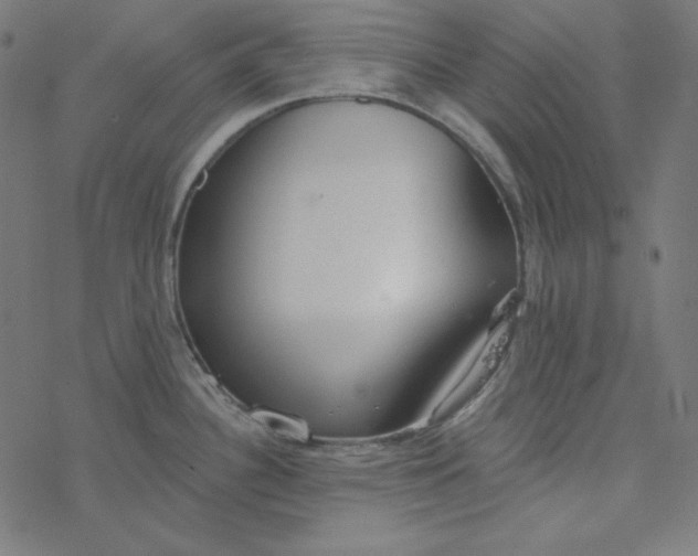 X0000077371340200611031902