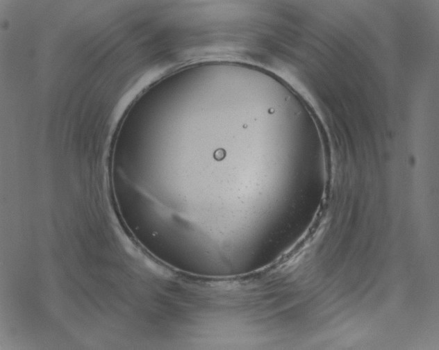 X0000077371341200611031902