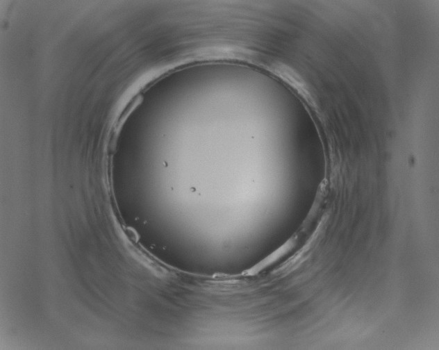 X0000077371342200611031902