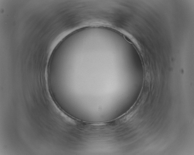 X0000077371343200611031902