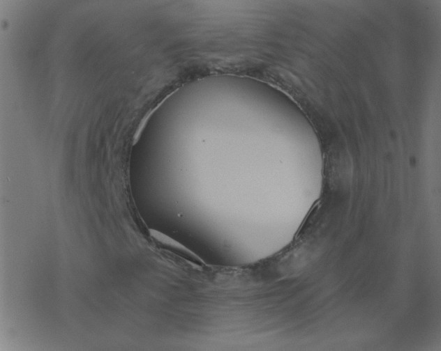 X0000077371345200611031901