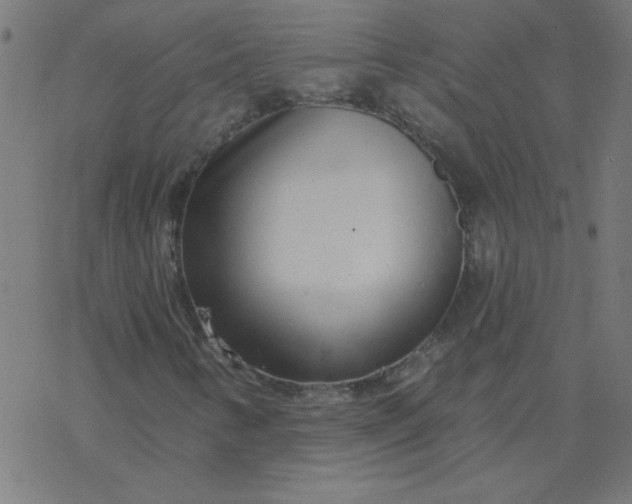 X0000077371346200611031901