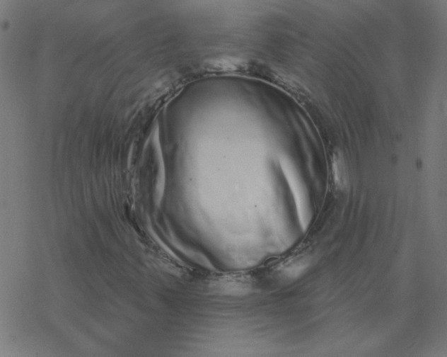 X0000077371347200611031901