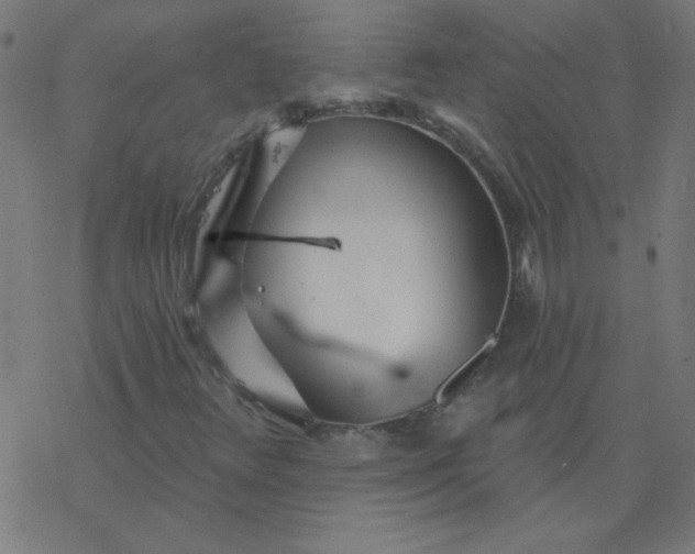 X0000077371348200611031901