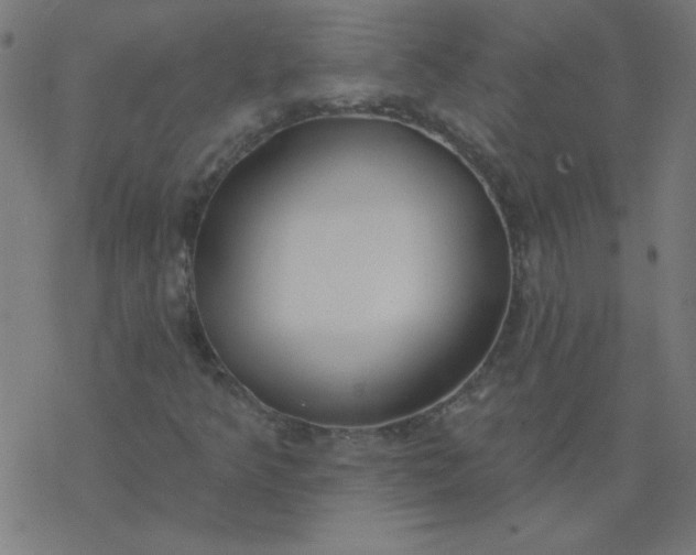 X0000077371349200611031901