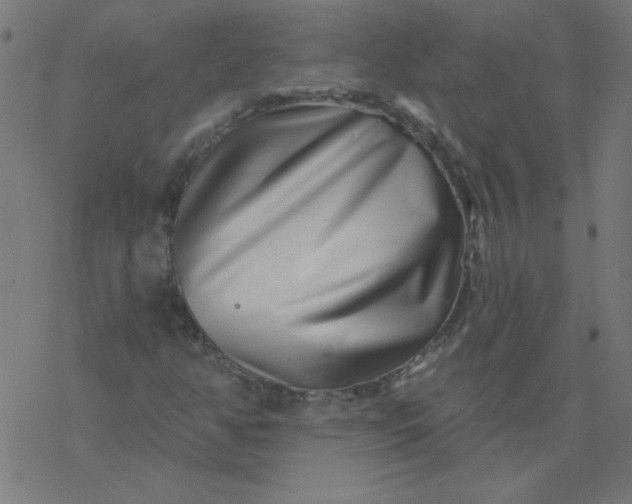 X0000077371350200611031901