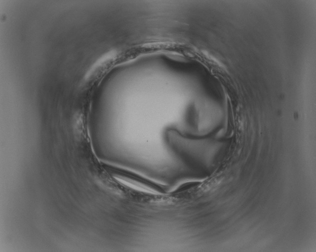 X0000077371351200611031901