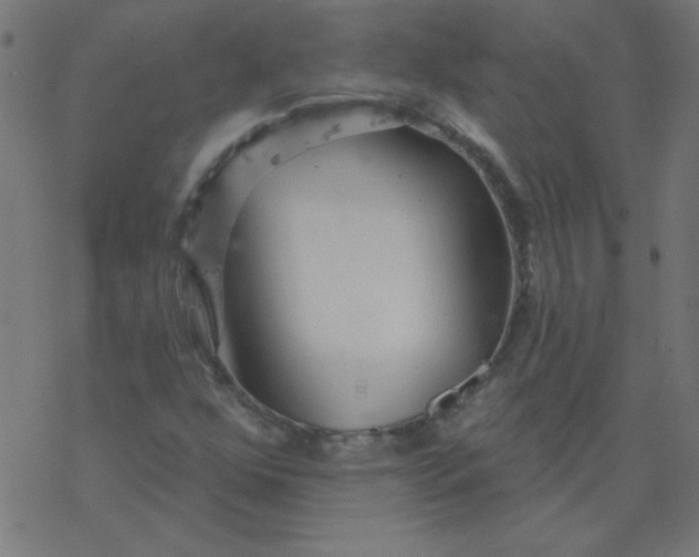 X0000077371352200611031901