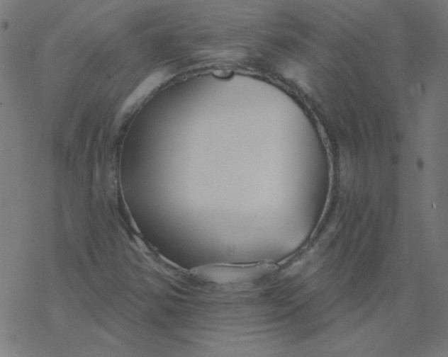 X0000077371354200611031901