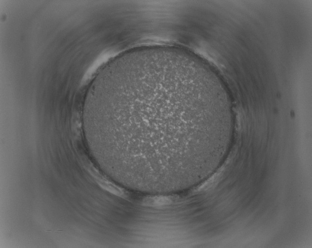 X0000077371355200611031901