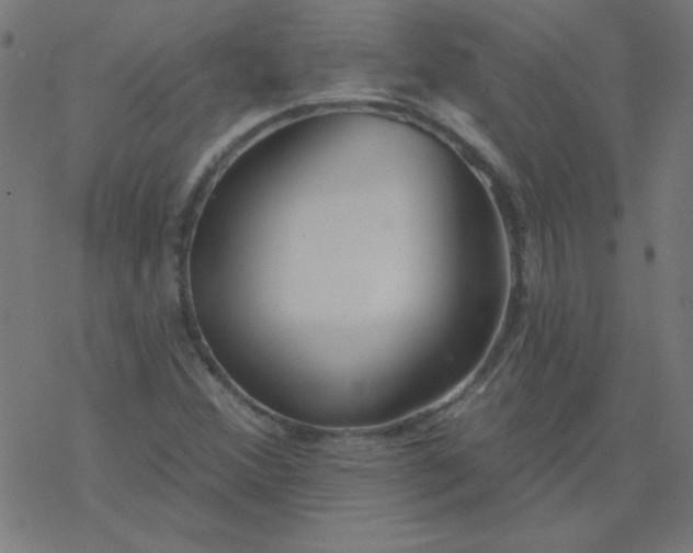 X0000077371356200611031901