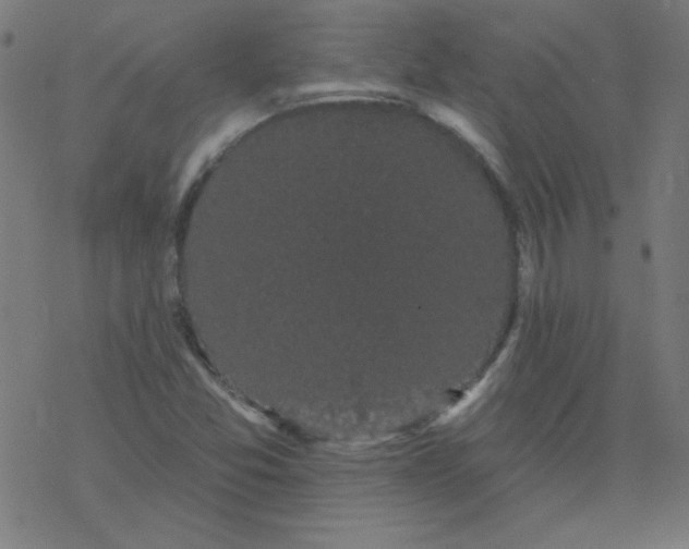 X0000077371357200611031901