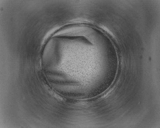 X0000077371358200611031901