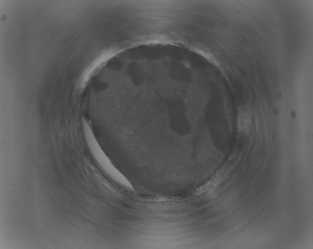 X0000077371359200611031901