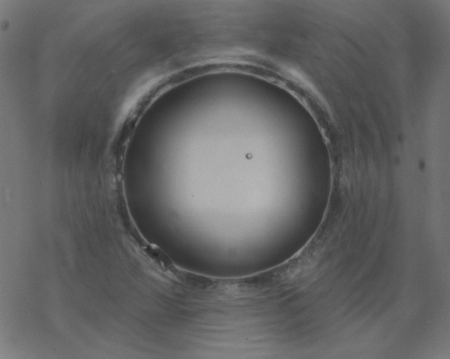 X0000077371360200611031901