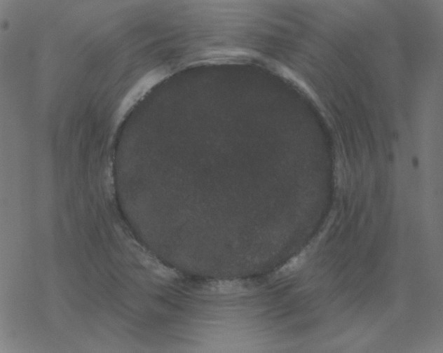 X0000077371362200611031901