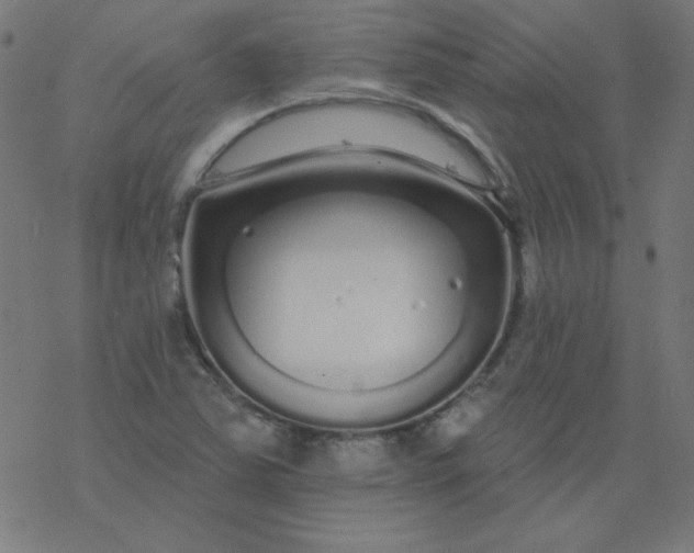 X0000077371363200611031901