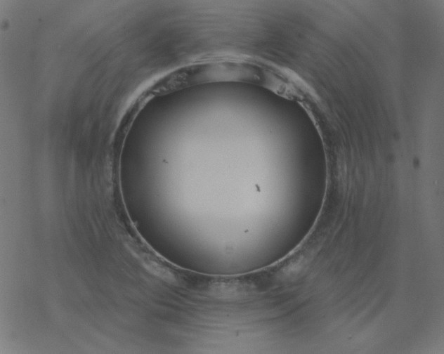 X0000077371364200611031901