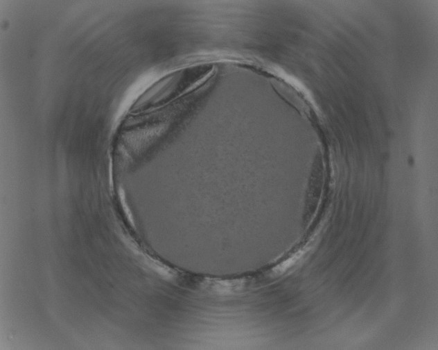 X0000077371365200611031901