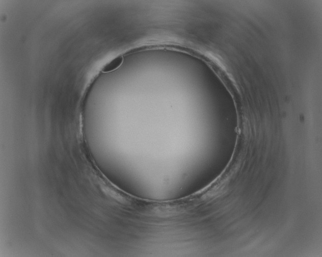 X0000077371366200611031901