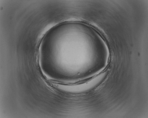 X0000077371367200611031900