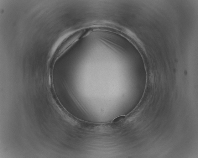 X0000077371368200611031900