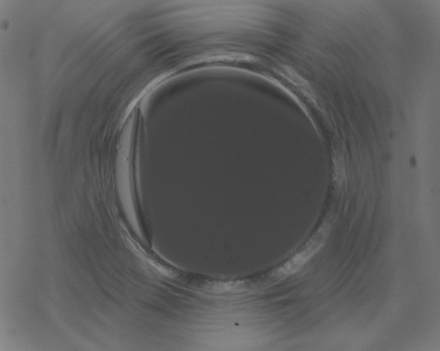 X0000077371369200611031900